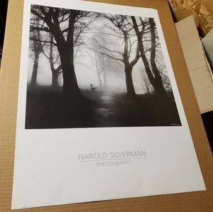 Large loose photography art print